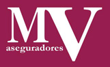 MV Aseguradores